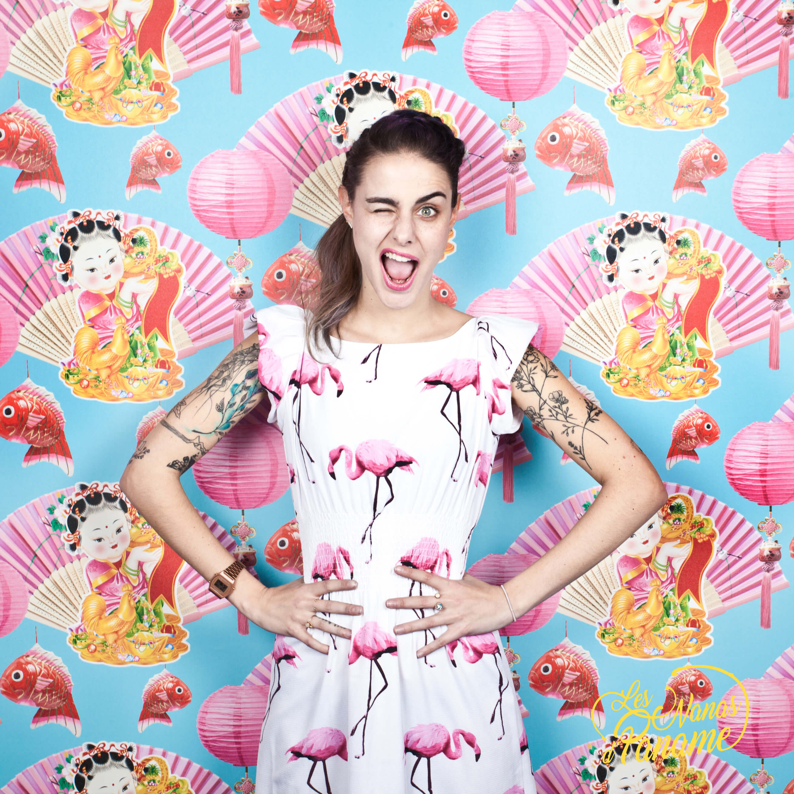 Janvier 2017 en images