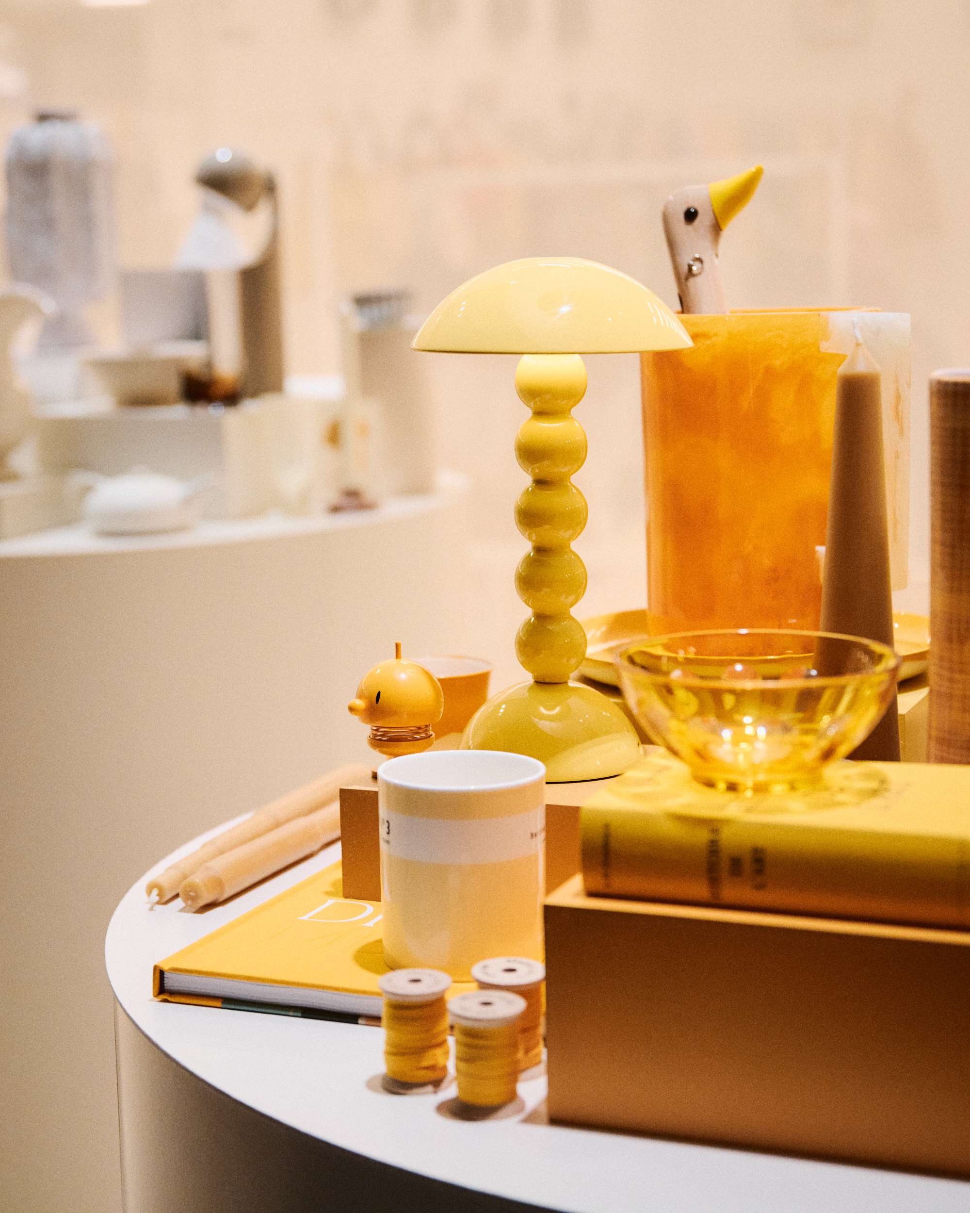 Shoppe Object comes to Paris in a visionary collaboration with WSN