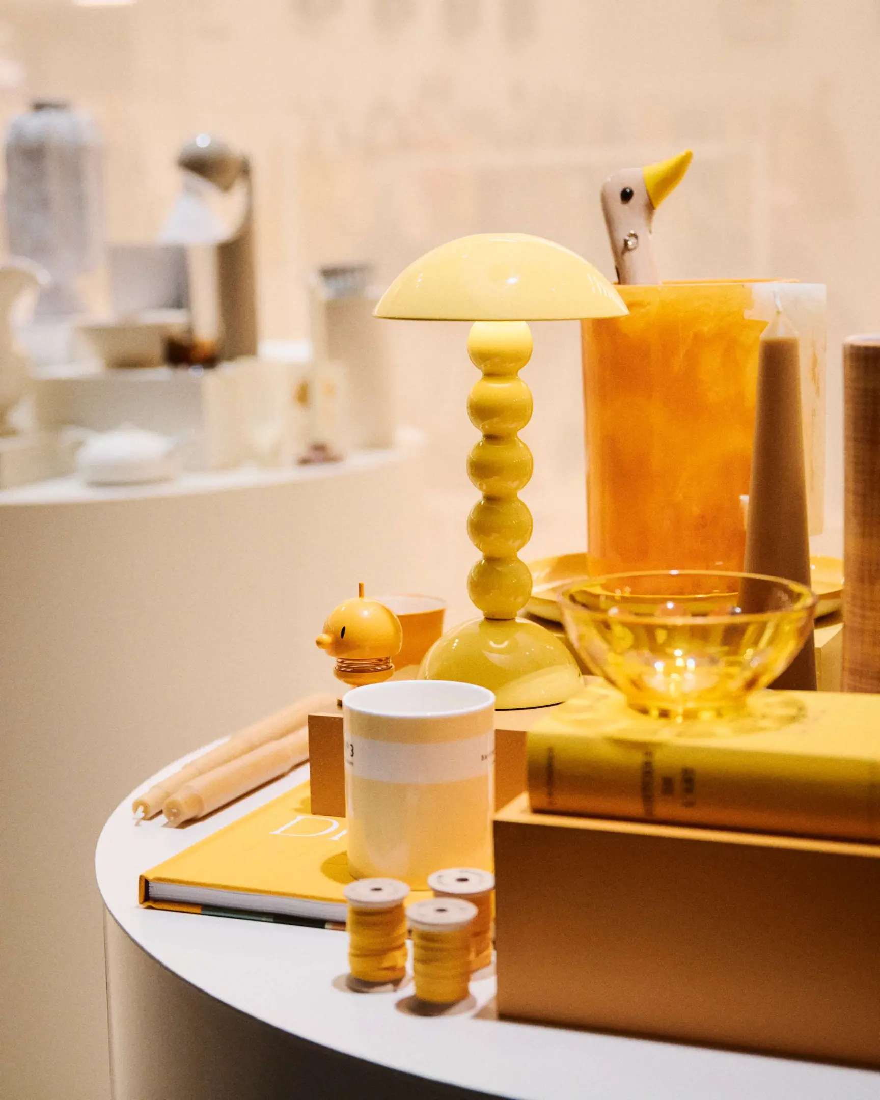 Shoppe Object comes to Paris in a visionary collaboration with WSN